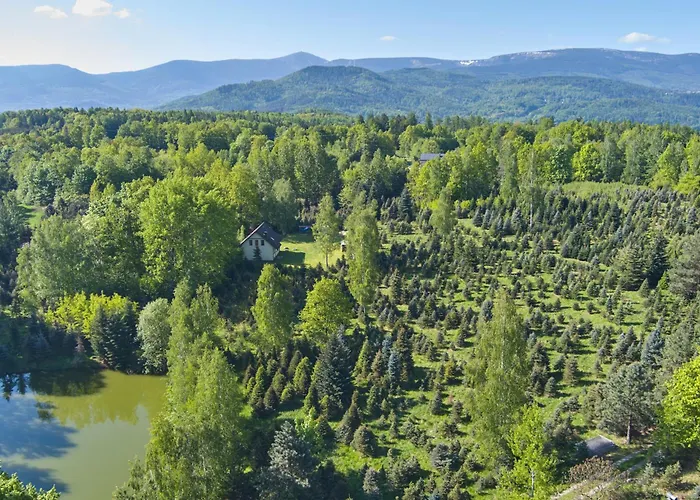 Agroturystyka - Srebrny Las